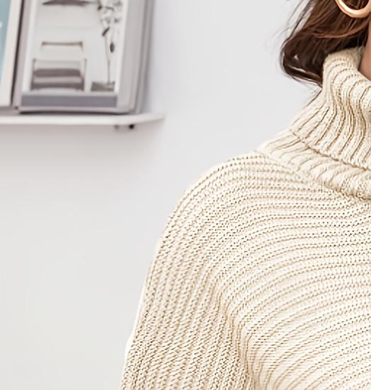 Plus Size trui-jurk met turtle - Winter Clothing Plus Size recensie en prijs